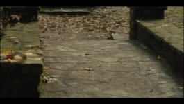 Mare of Easttown - Season 01 Episode 03